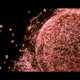 Illustration for article titled This awesome image may be found by aliens one day, floating in space